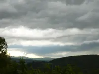 P1120216.webp