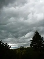 P1120218.webp
