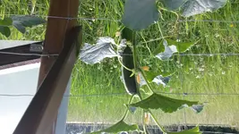20160615_190853.jpg