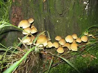 005_1024x768.webp