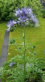 20160616_172821.webp