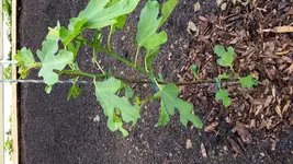 20160616_142719.jpg