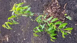 20160616_142728.jpg