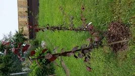 20160616_143519.webp