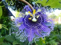 DSCF9357.webp