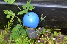 DSC_6569.webp