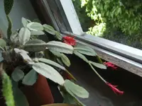 BILD5153.webp