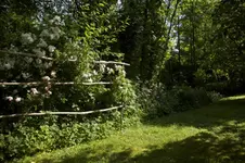 IMG_1142.webp