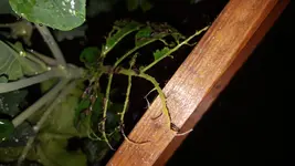 20160616_230022.jpg