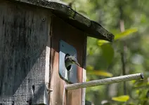 IMG_1174-2.webp