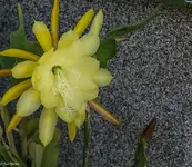 IMG_1194-2.webp