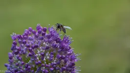 IMG_1244-2.webp
