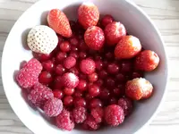 20160617_152856.webp