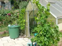 k-P1110402.webp