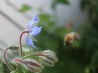 081.webp