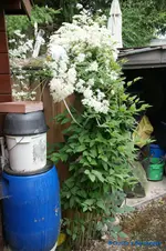 comp_DSC05148.webp