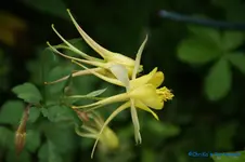 comp_DSC05143.webp
