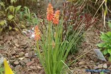 comp_DSC05146.webp