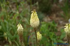 comp_DSC05147.webp