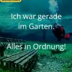 IMG-20160617-WA0001.webp