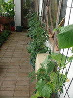 k-P1110438.webp