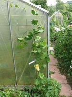 k-P1110392.webp