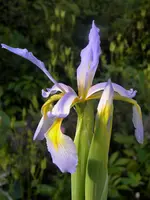 DSCN6457.webp