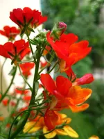 IMG_5967.webp