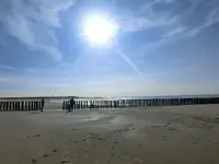 CIMG2434.webp