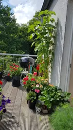 Screenshot_20160618-152239.webp