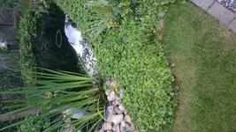 DSC_0045.jpg