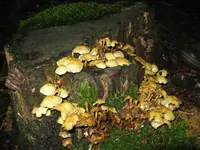 004_1024x768.webp