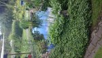 DSC_0046.jpg
