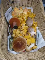 017_576x768.webp