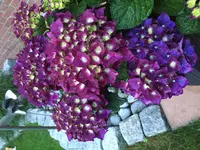 2016-06-17 21.32.35-1.webp