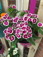 2016-06-12 18.36.27.jpg