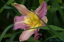 comp_DSC05155.webp
