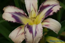 comp_DSC05157.webp