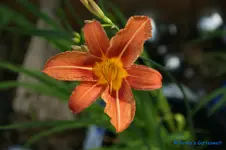 comp_DSC05158.webp