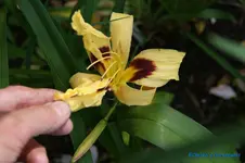 comp_DSC05160.webp