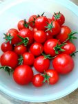 IMG_20160618_192338.jpg