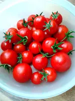 IMG_20160618_192338.webp
