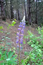 2016-06-18-9049.webp
