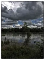 084.webp