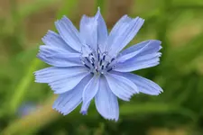 085.webp
