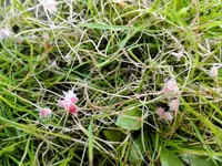 photo_2016-06-19_10-38-18.webp