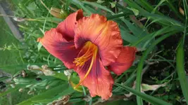 20160619_105807.webp