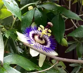 image.webp
