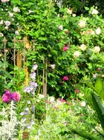 IMG_5001-001.webp