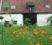 Kalimohn_19.06.16.webp